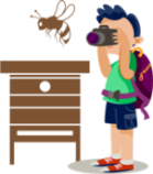 Prepara tu camara para tomar las mejores fotos